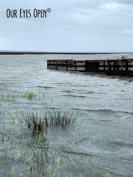 WWE – Sister’s&nbsp;Creek