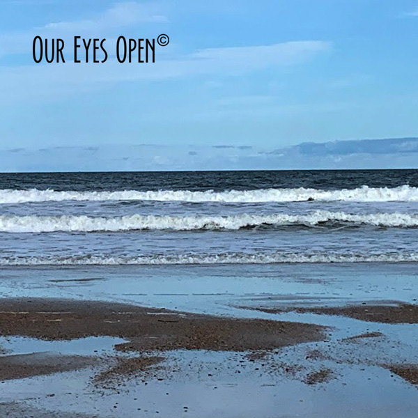 Tide coming in with waves in a straight line one Little Talbot Island State Park, Florida.