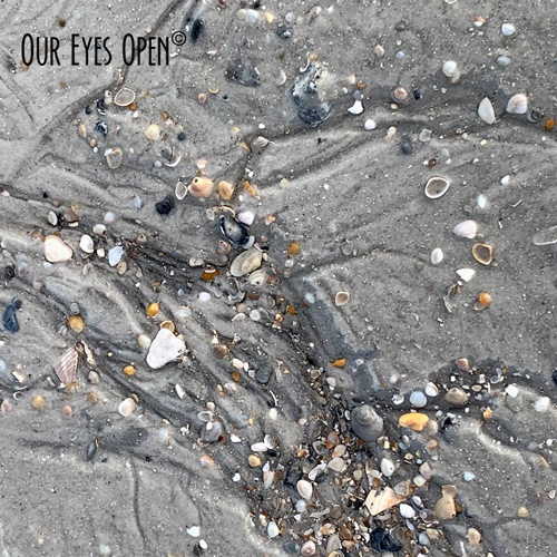 Oct. 15 – Are You Square? Lines & Square Challenge – Beach Sand
