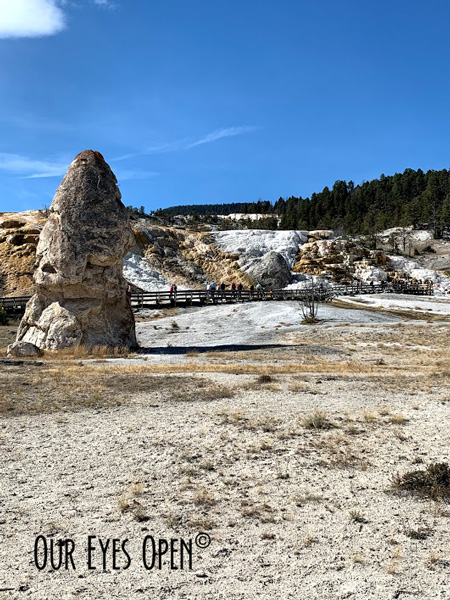 Boardwalk leading to Palette Springs