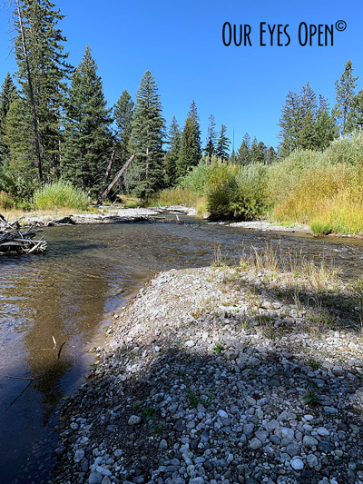 Living in the Moment –  Day 2 – Undine Falls and Lava Creek