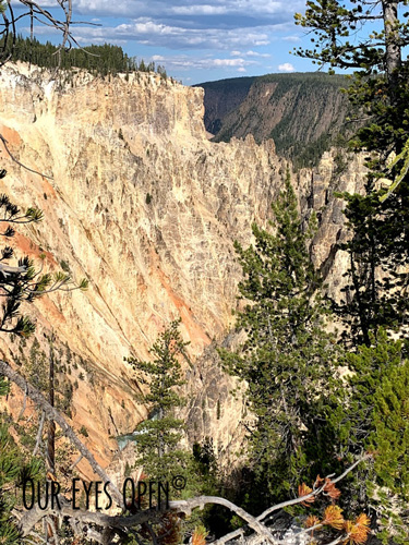 Grand Canyon of Yellowstone embankment.