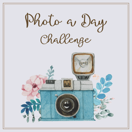 Photo of the Day – 1.16.20 –&nbsp;Delicious