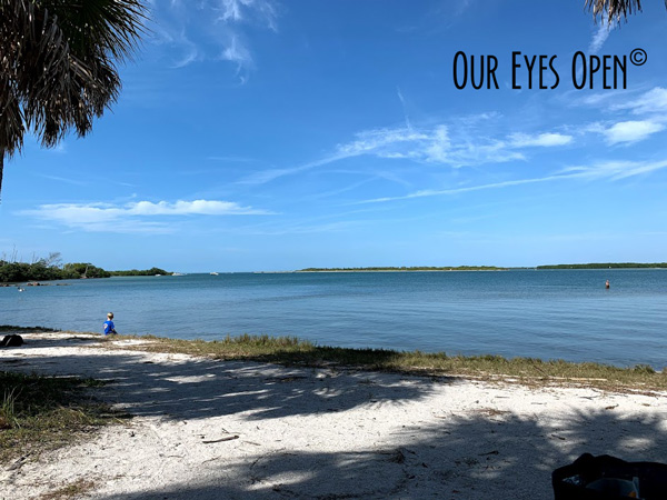 Fort Desoto in Tierra Verde, FL.  Image of the inset at the Arrowhead Picnic Area.