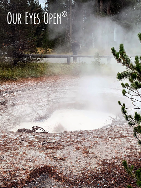 Hot bubbling chocolate milk looking geyser at Potts Basin, Yellowstone National Park.