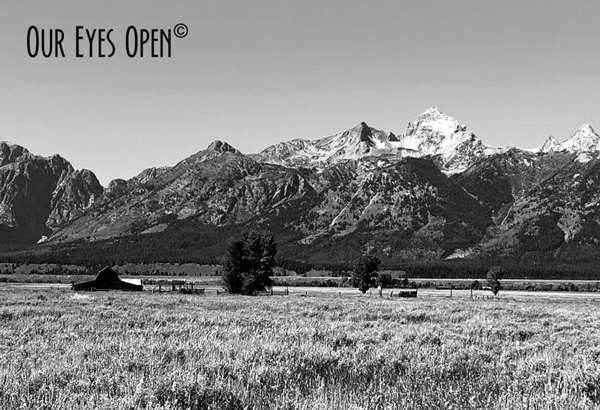 Black and white image of the famous T.A. Moulton gable-with-shed style barn that Ansel Adams famously photographed in the early 1900's.