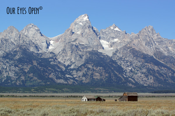 Thomas Murphy Homestead with the Grand Teton Mountain Range in the background.