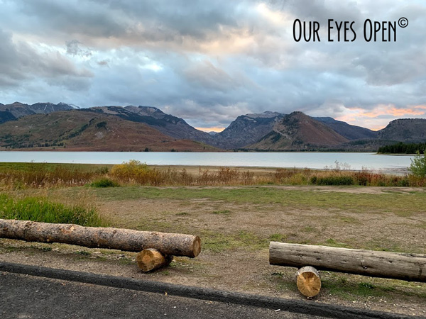 Logs to sit on to take in the beauty of Jackson Lake in Grand Tetons National Park, Wyoming.
