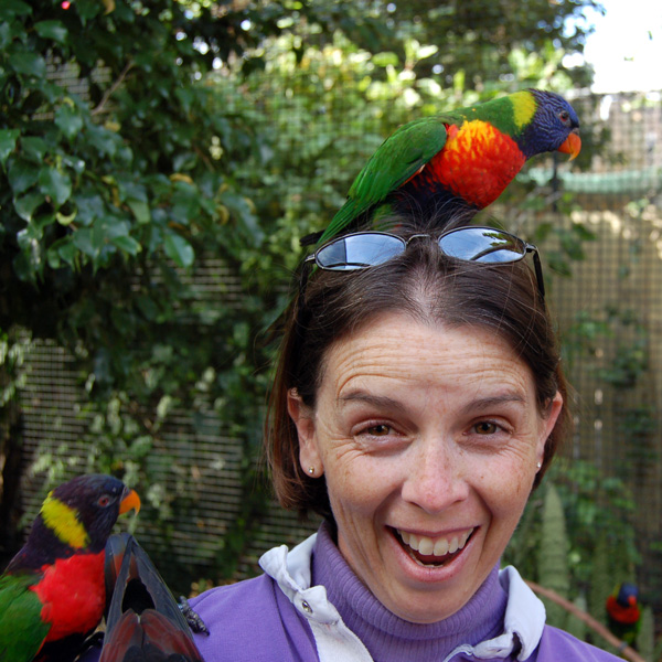 Lisa with Lorikeets on her head and arm while feeding time at Lowry Park Zoo in Tampa, Florida.