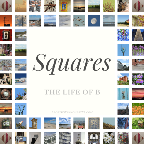 SQUARES – Bright Eyed and Bushy&nbsp;Tailed