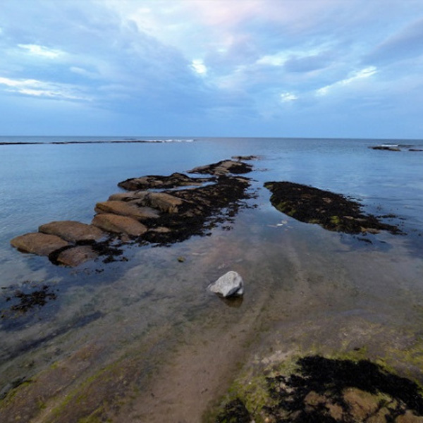 #Write Photo – Storm Brews