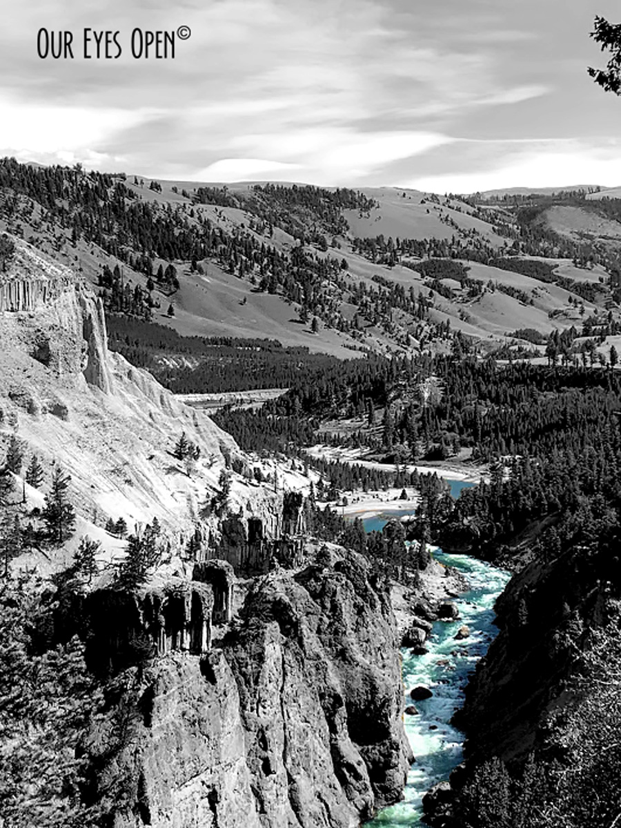 CEE’S BLACK AND WHITE PHOTO CHALLENGE – All About&nbsp;Nature