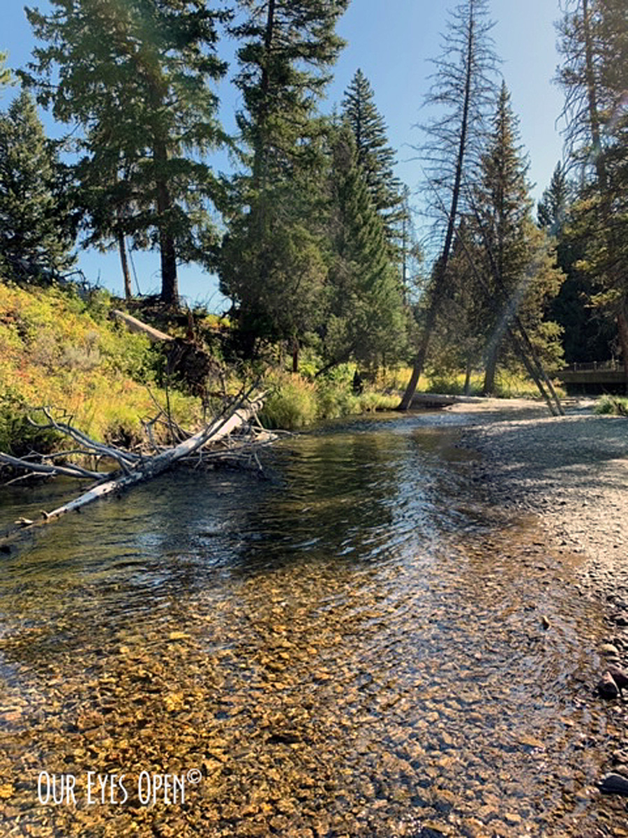 #WordlessWednesday – Lava Creek – Yellowstone