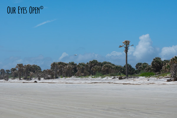 Beach is Open – Fun in the Sun