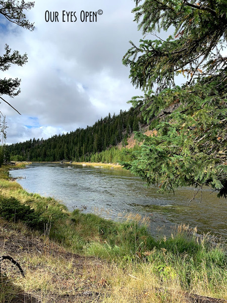 The Madison River on the west side of Yellowstone National Park just outside of West Yellowstone where you cross from Montana into Wyoming.