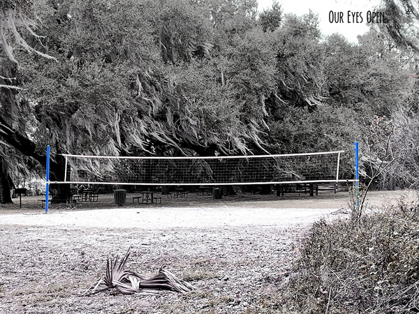 Volleyball net at Carney Island Park in Ocklawaha, Florida.