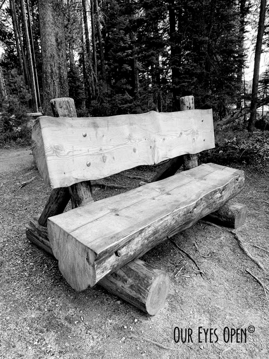 CEE’S BLACK AND WHITE PHOTO CHALLENGE – Natural Benches
