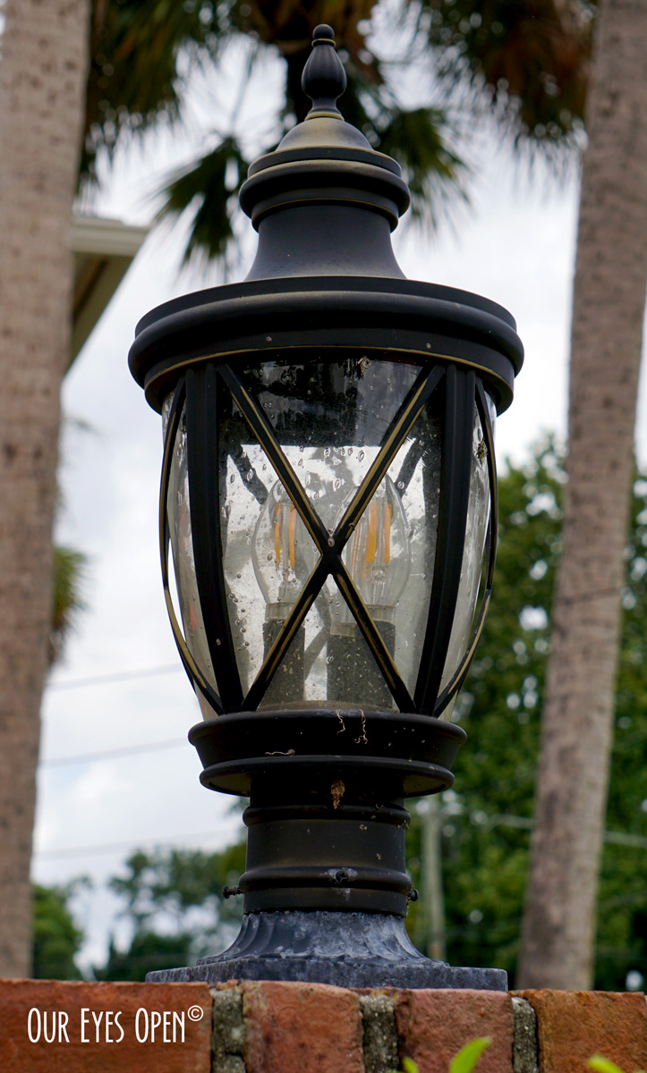 Macro Monday – Lantern