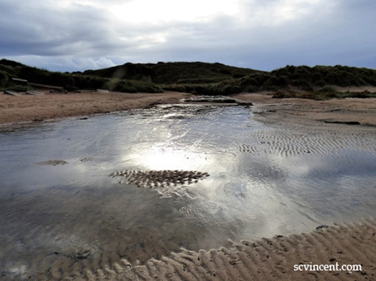 #Write Photo – Reflective Thought