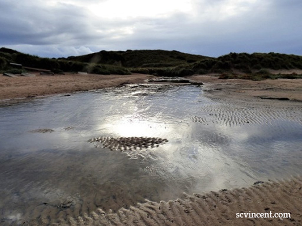 #Write Photo – Reflective&nbsp;Thought