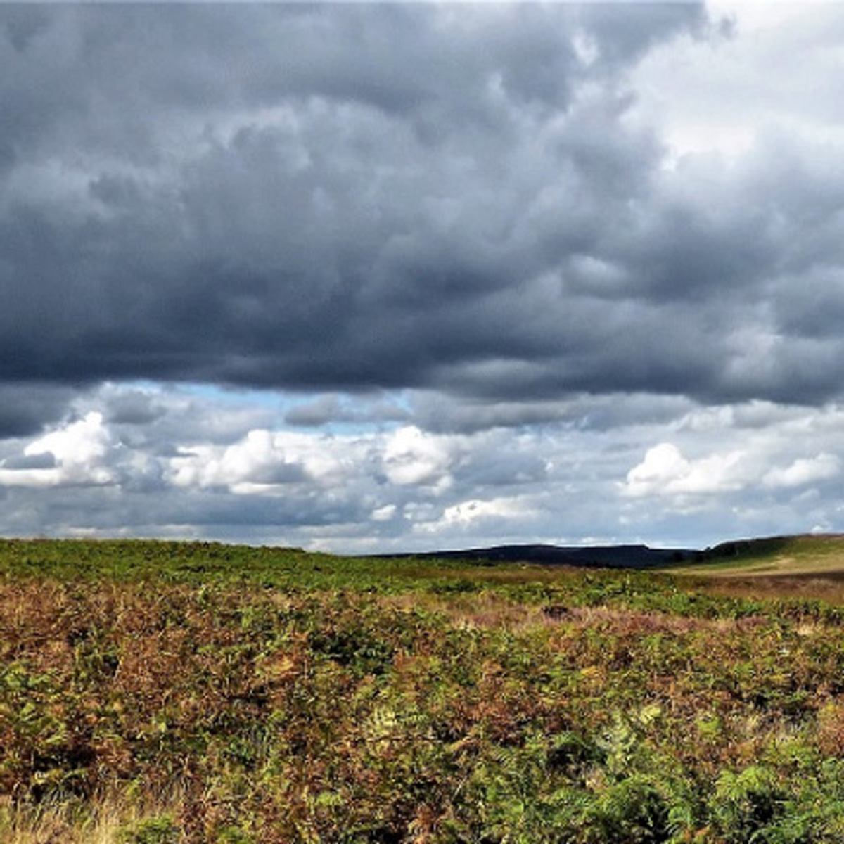 #Write Photo – DARKNESS Looms