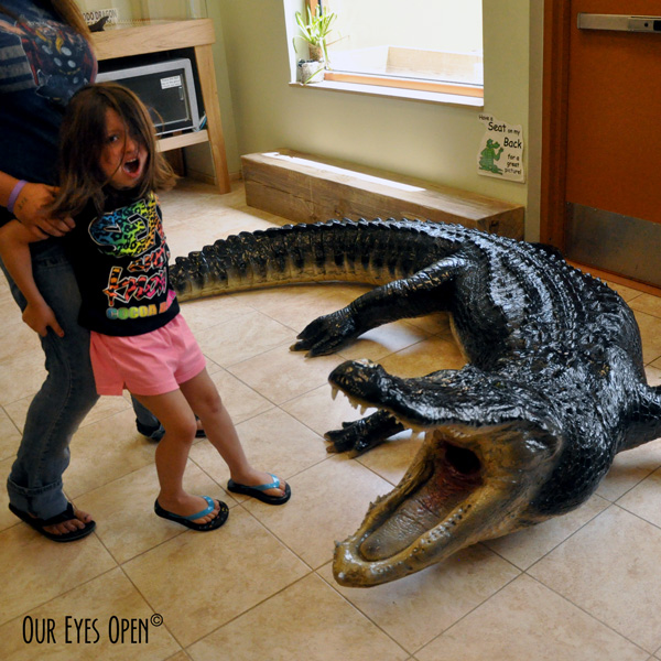 Terrified granddaughter at a science museum in Cocoa Beach where there was a life size American Alligator made of resin.  It sure looked real!