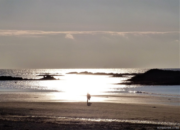 Image of a beach taken by Sue Vincent for #WritePhoto challenge.