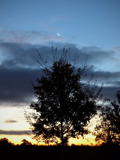 #Write Photo – Thumbnail