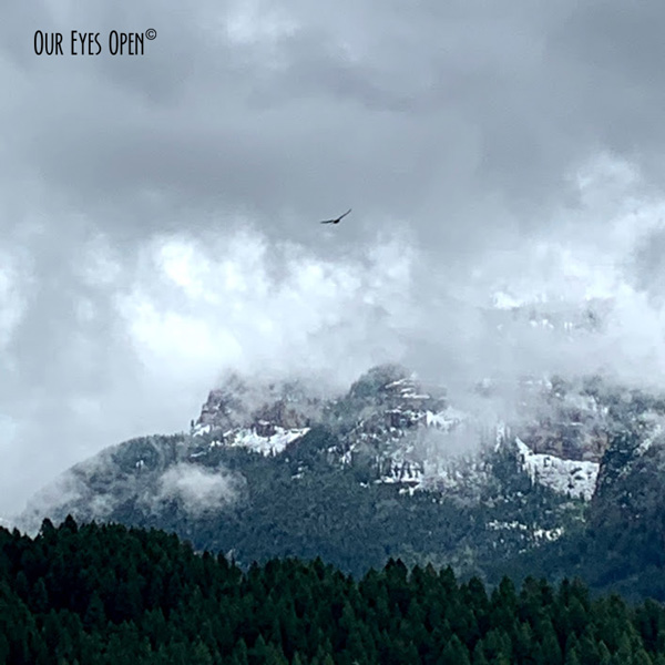 Sunday Stills – Winter Snow –&nbsp;nonexistent