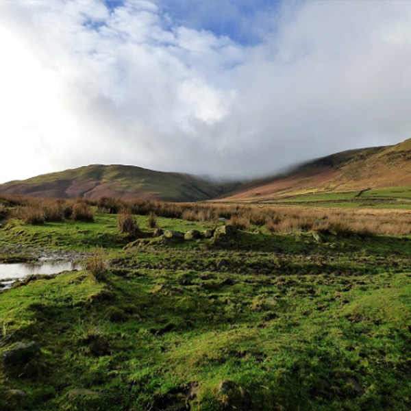 #Write Photo – Mother’s&nbsp;Nature