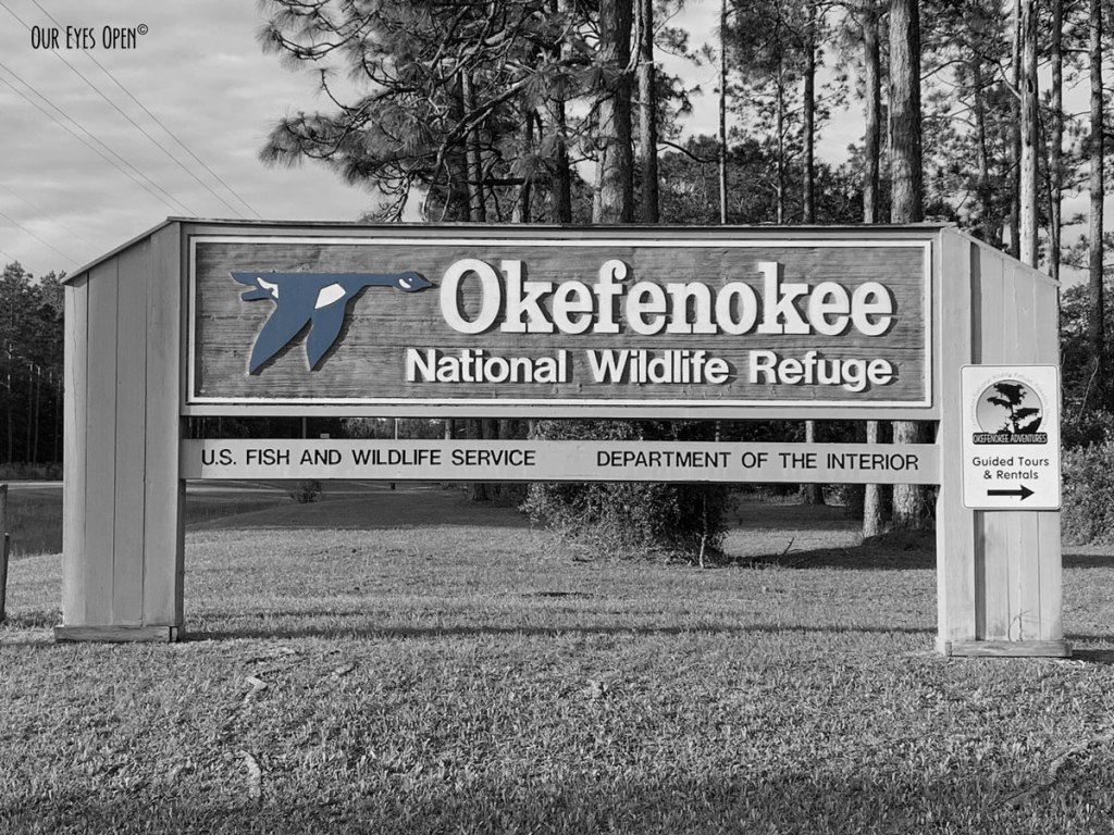 CEE’S BLACK AND WHITE PHOTO CHALLENGE – Made of&nbsp;Wood