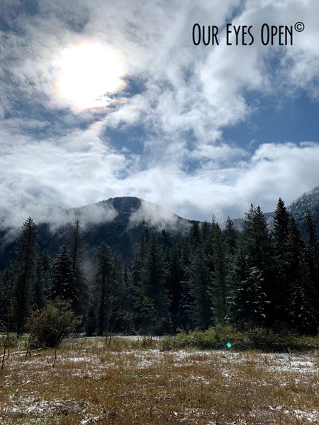 The Fall of&nbsp;Summer