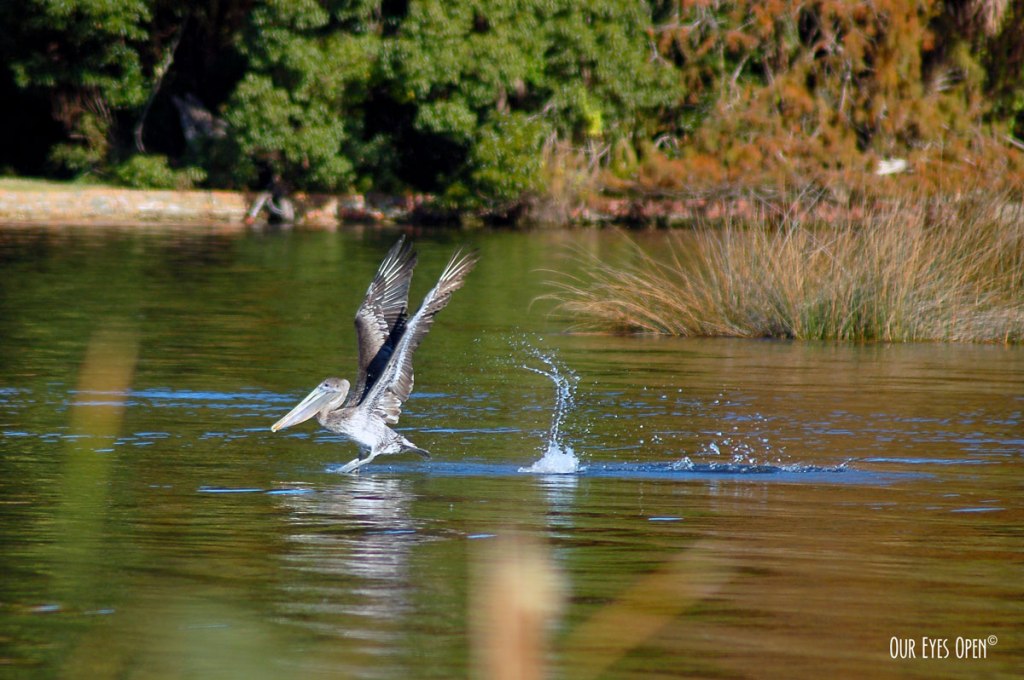 Sunday Stills – Droplets –&nbsp;9.27.20