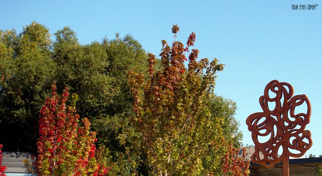 Sunday Stills – Fall Color Ochre –&nbsp;10.11.20