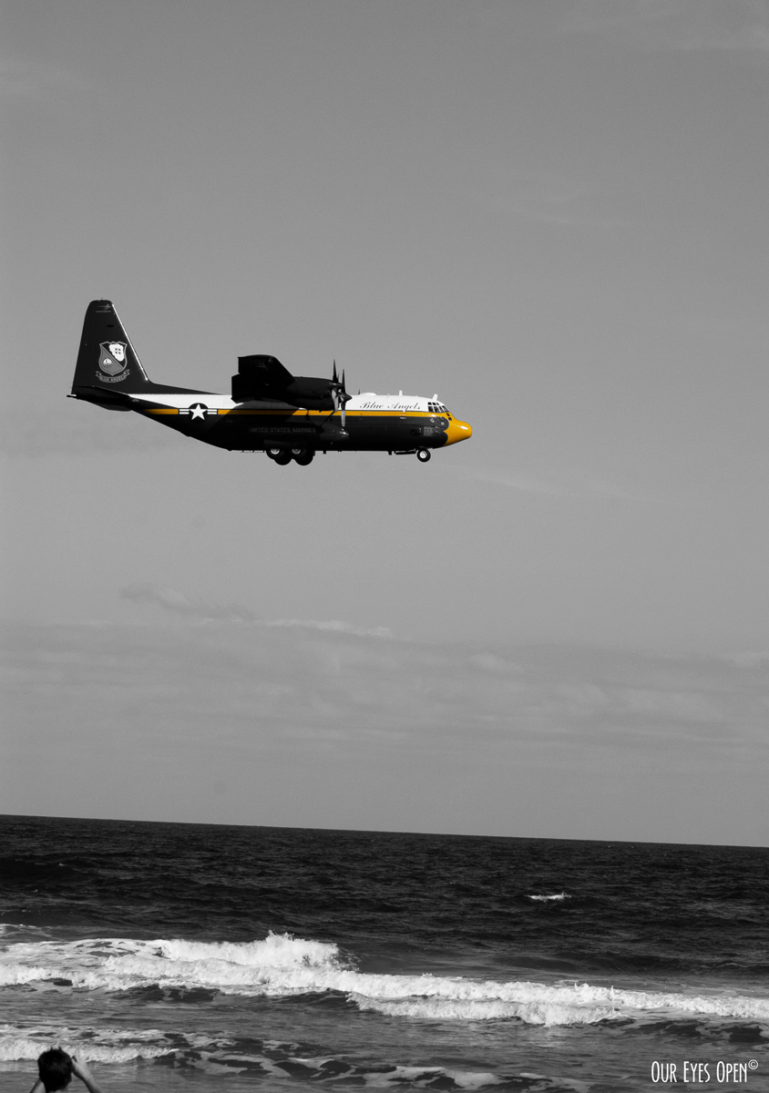 CEE’S BLACK AND WHITE PHOTO CHALLENGE – Anything that Flies