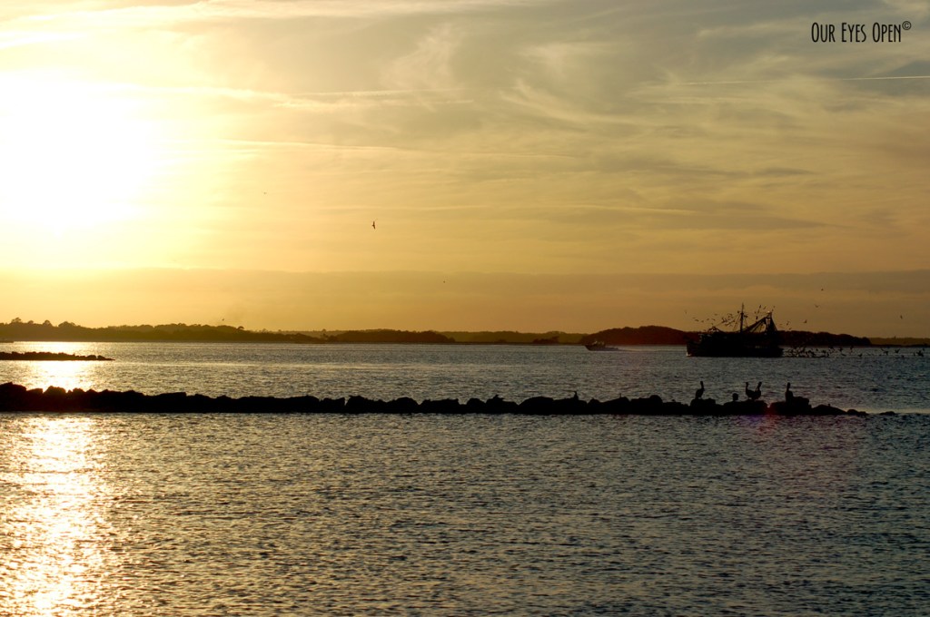 Water Water Everywhere #53 –&nbsp;Fernandina