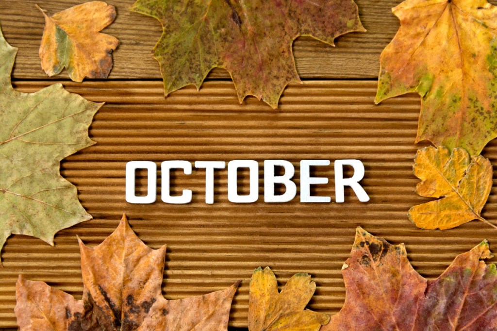 Last Photo – Oct.&nbsp;2020