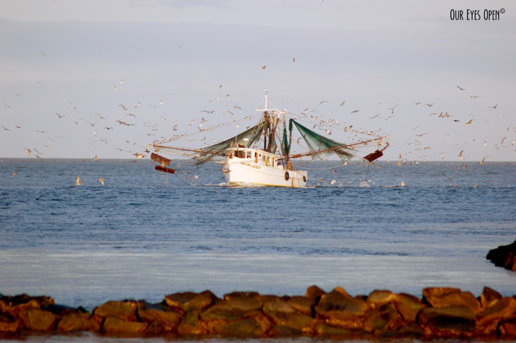 Water Water Everywhere #51 – Shrimp&nbsp;Boat