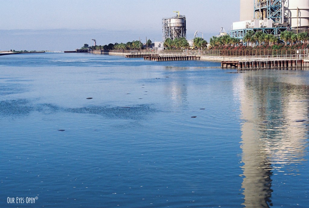 Water Water Everywhere #52 – Tampa&nbsp;Bay