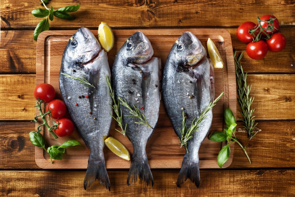 Six Word Story – Fishy