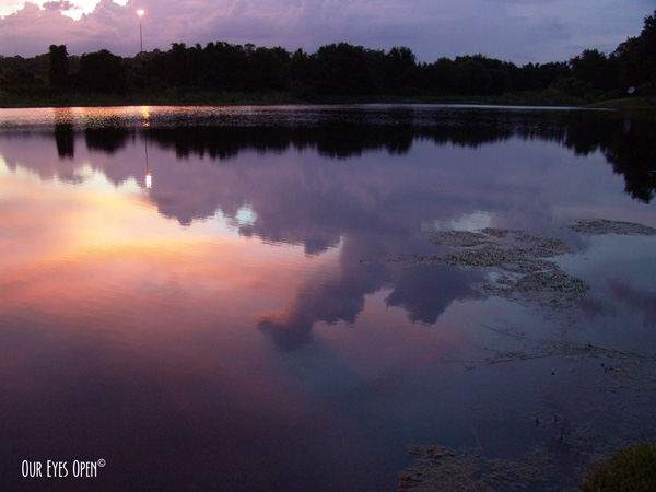 Sunset reflection of clouds in a pond in Jacksonville, Florida.