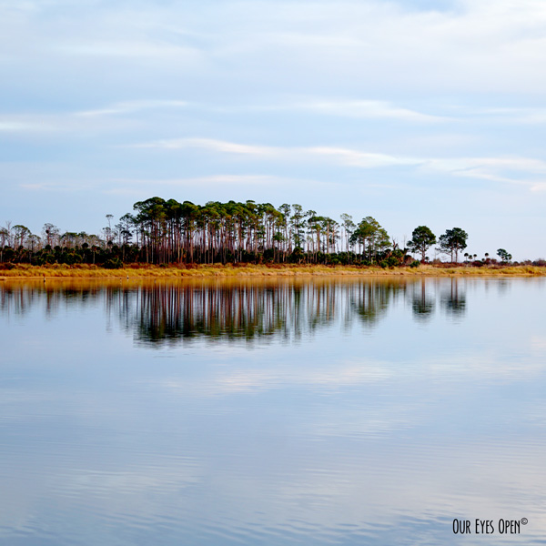 Pond in the St. Marks Wildlife Refuge near the end of the walking trail along the Tower Trail.