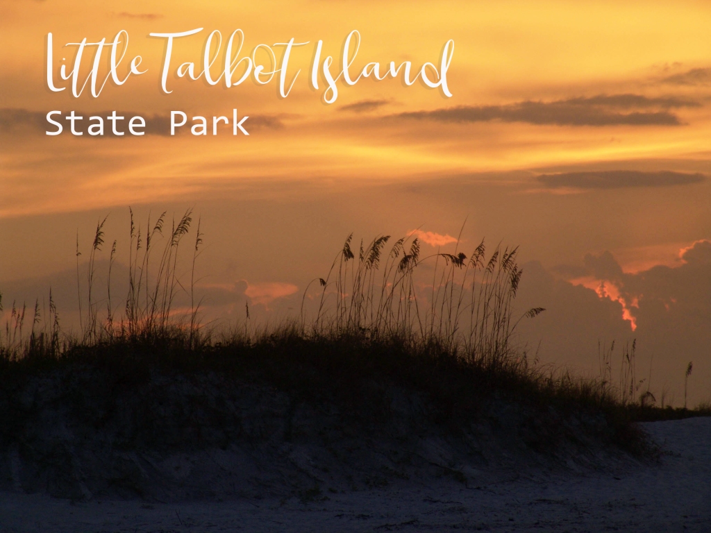 Dunes and sunset at Little Talbot Island State Park, Jacksonville, Florida.