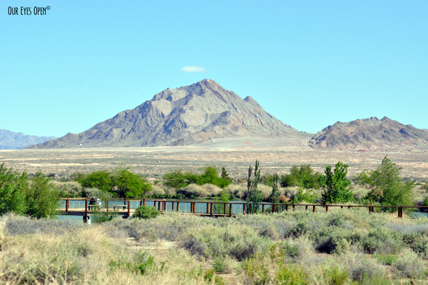 View of the desert from Henderson Birding Preserve just southeast of the Las Vegas strip.