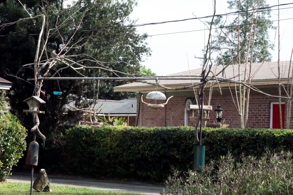 Lens-Artists Photo Challenge #140 – Unwanted Change of&nbsp;Scenery