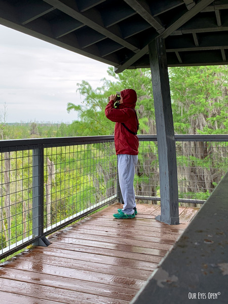 Donned in raingear, Frank looks out over the marsh under cover of the tower for birds while the rain comes down.