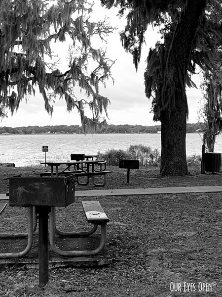 Picnic area at Carney Island Recreation & Conservation Area in Ocklawaha, Florida.