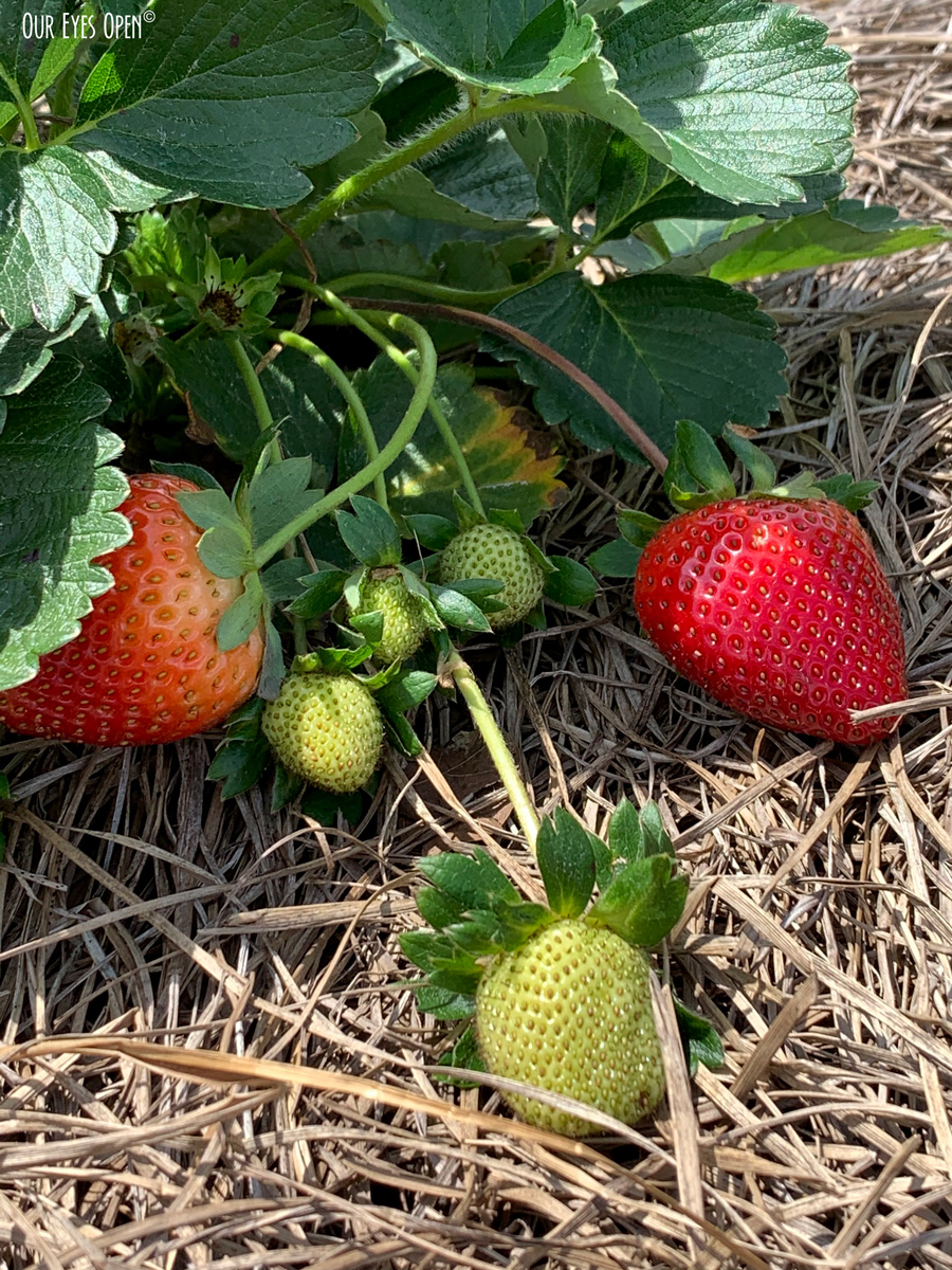 Quote – Travel – Week&nbsp;#18