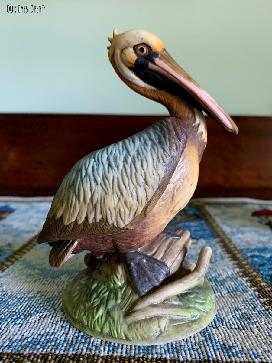 A-Z Challenge – P is for Pelican