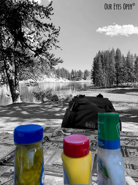 Selective color photo with the condiments in color and the Yellowstone River in black and white in the background in Yellowstone National Park.
